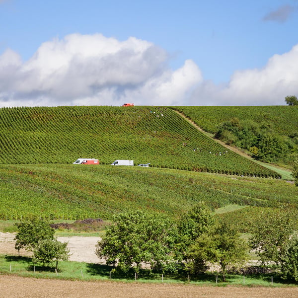 Domaine de Mondeville - Famille Dumont
