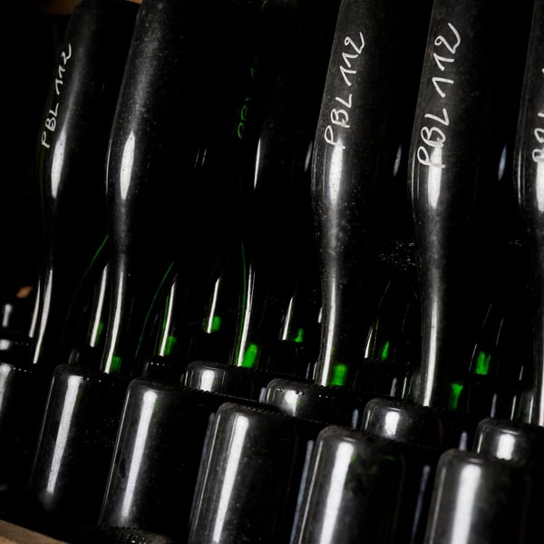 Domaine de Mondeville - Famille Dumont