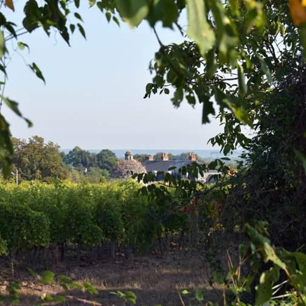 Château La Trochoire - Famille Rocour-Mertens