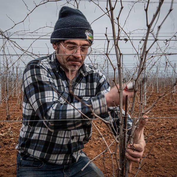 Poderi Cellario - Fausto & Cinzia Cellario