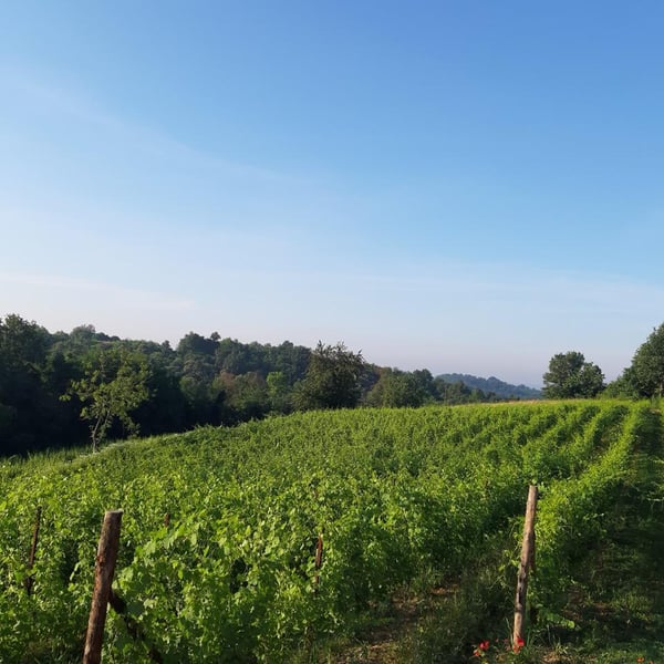 Cascina Rüral - Federico Longo