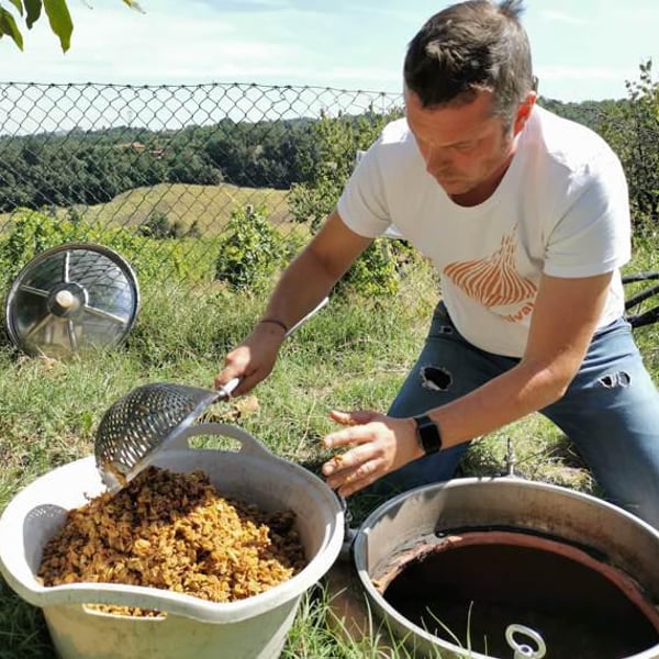 Federico Orsi