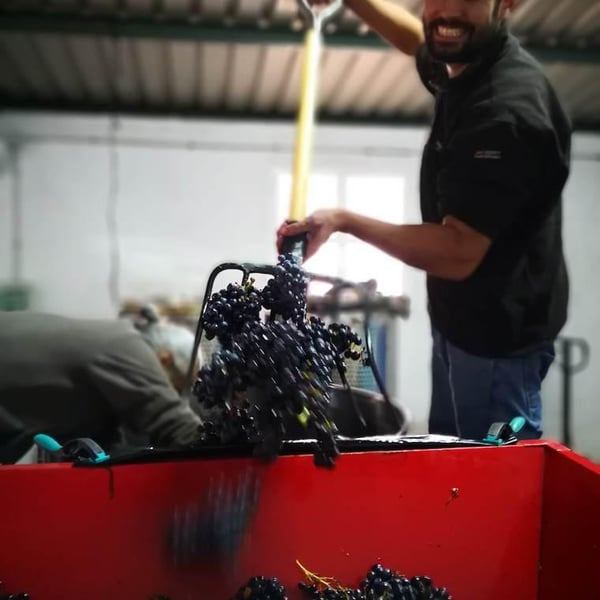Clandelvino Bodega - Fernando e Irene
