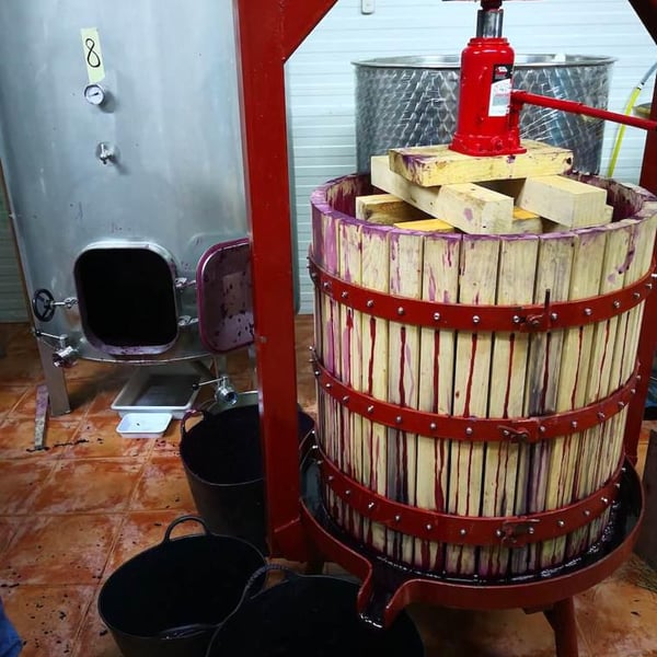 Clandelvino Bodega - Fernando e Irene