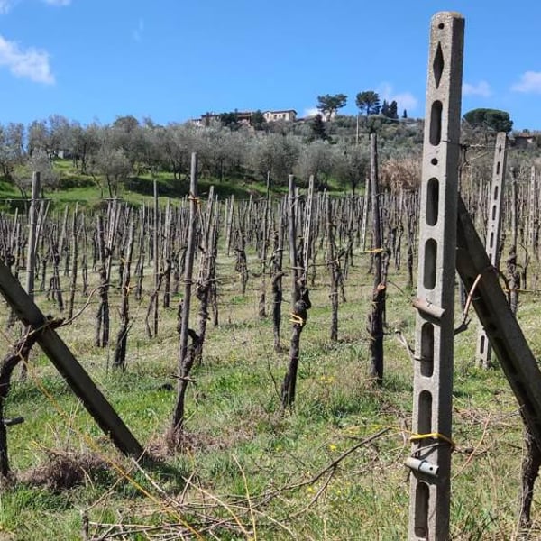 Malerba Società Agricola - Filippo Artini, Marco Valentini