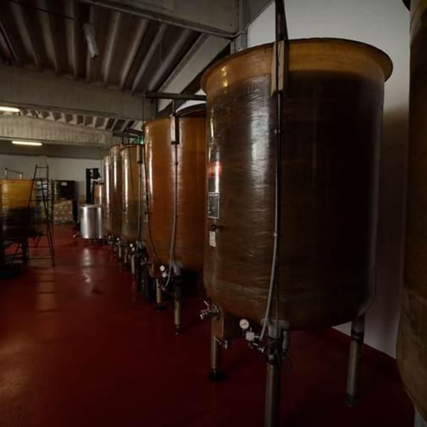 Azienda Agricola Koi - Flavio Restani