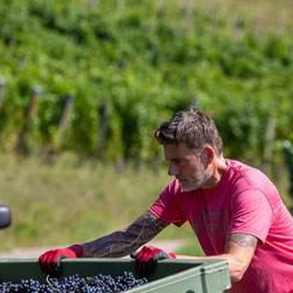 Florian Moll & Max Lecat