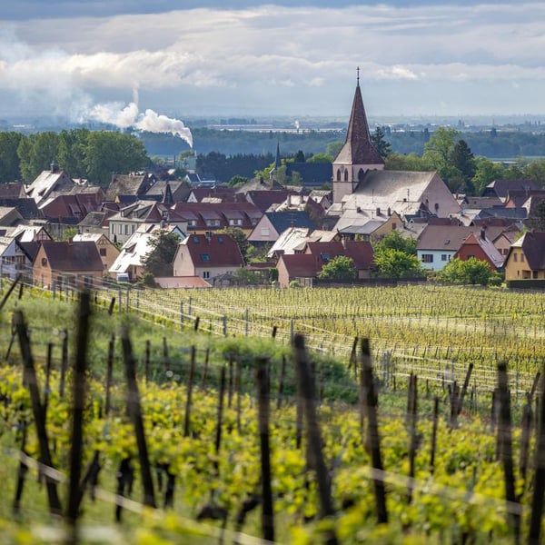 Les Vignes du Vingabond - Florian Spannagel