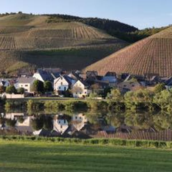 Weingut Jus Naturae - Florian Wecker