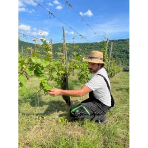 Weingut Jus Naturae - Florian Wecker