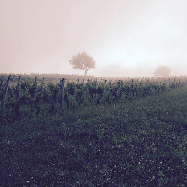 Domaine D'ici là - Adrien Bariol