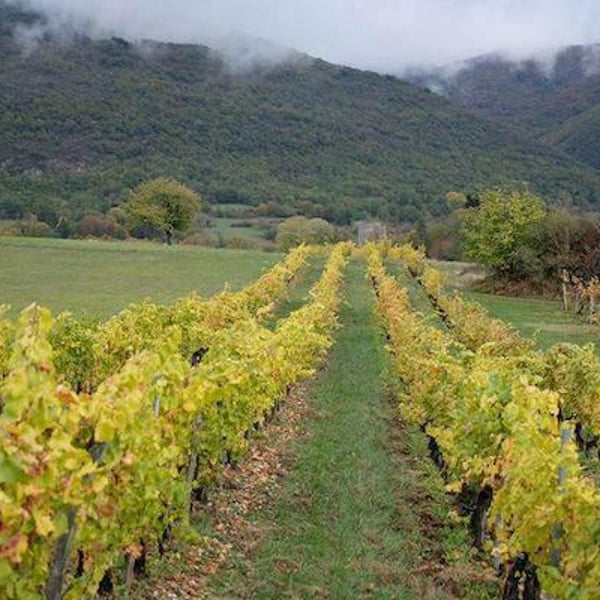 Domaine D'ici là - Adrien Bariol