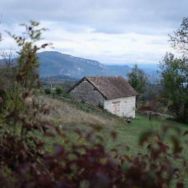 Domaine D'ici là - Adrien Bariol