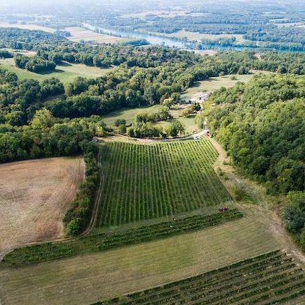 Domaine D'ici là - Adrien Bariol