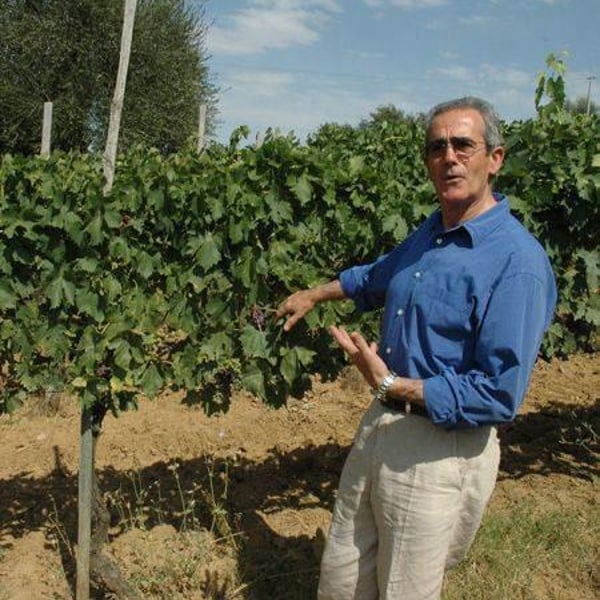 Florio Guerrini