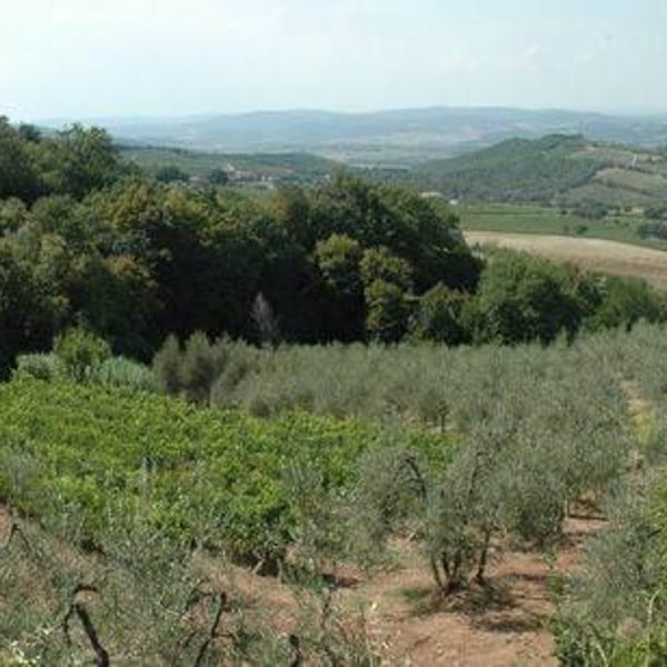 Florio Guerrini