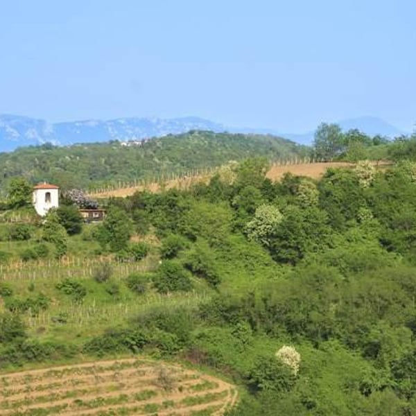 Slavček - Franc Vodopivec