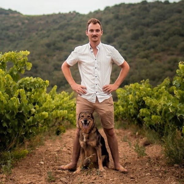 Vignoble Réveille - France Crispeels