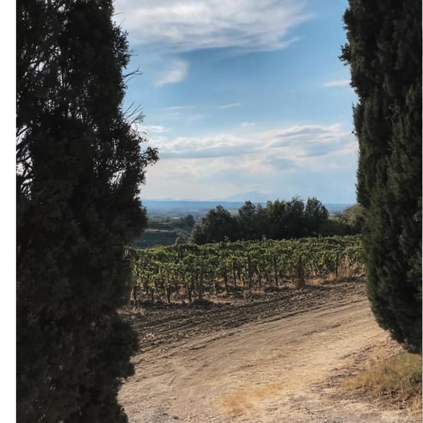 Francesco De Filippis