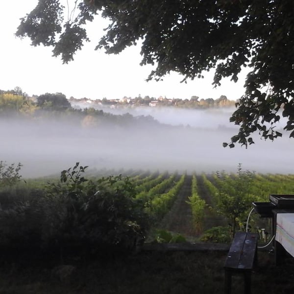 Domaine Terra Dieda - Francis Trioux