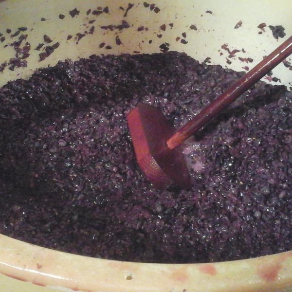 Domaine Terra Dieda - Francis Trioux
