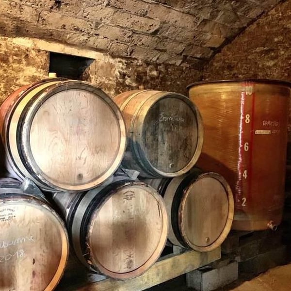 Domaine du Perron - La Vigne du Perron - François Grinand