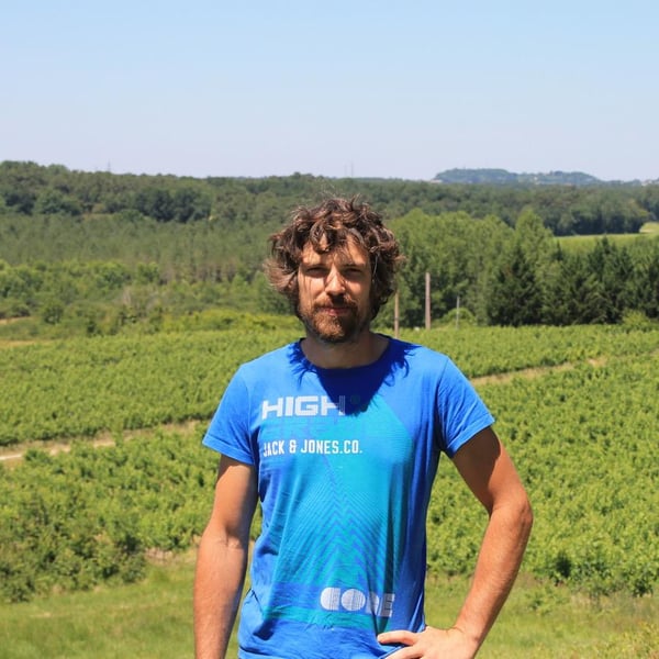 Domaine Les 3 Saules - François Laborie