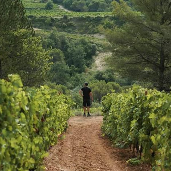 Domaine Gramiller - Frédéric Julien