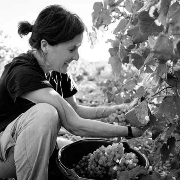 Domaine Gramiller - Frédéric Julien