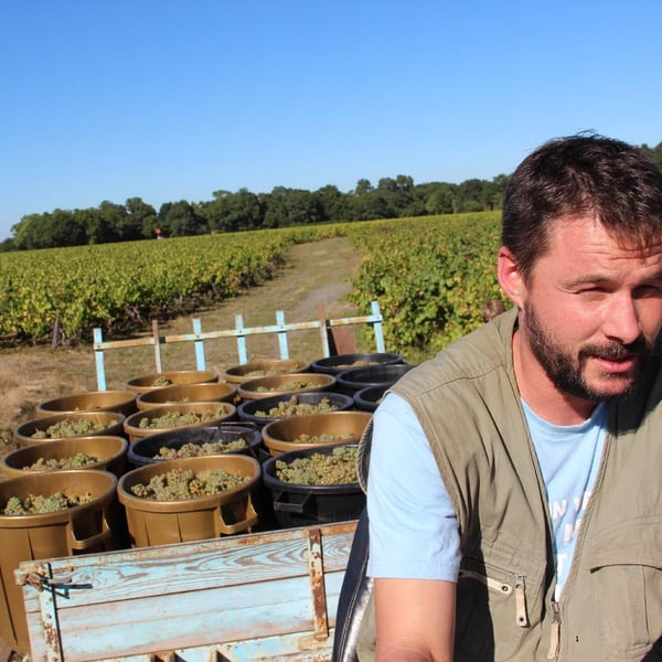 Domaine Brégeon - Frédéric Lailler