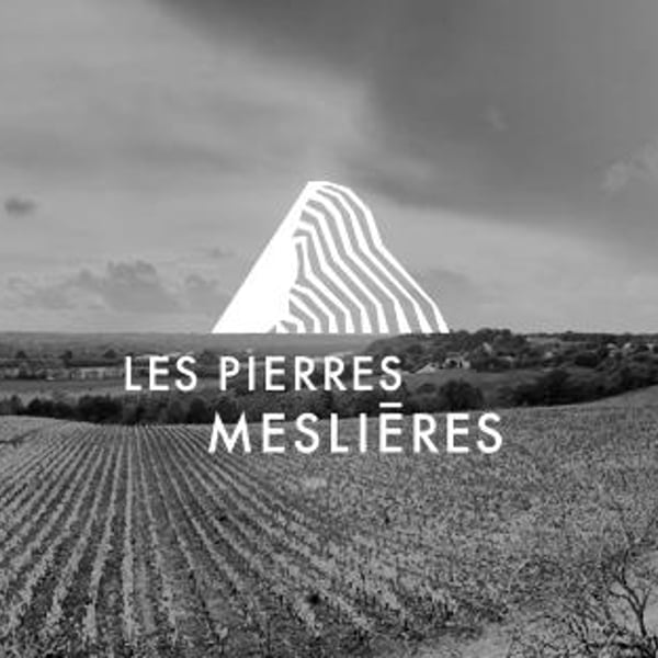 Les Pierres Meslières - Frédéric Monnier