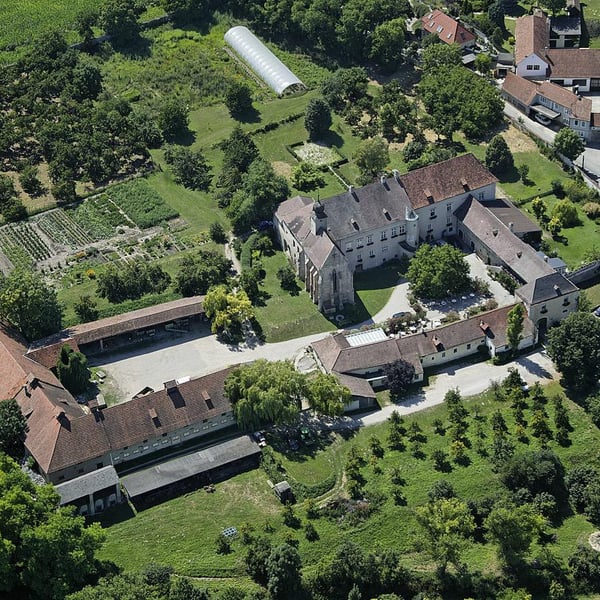 Weingut Fritz Salomon - Fritz Salomon