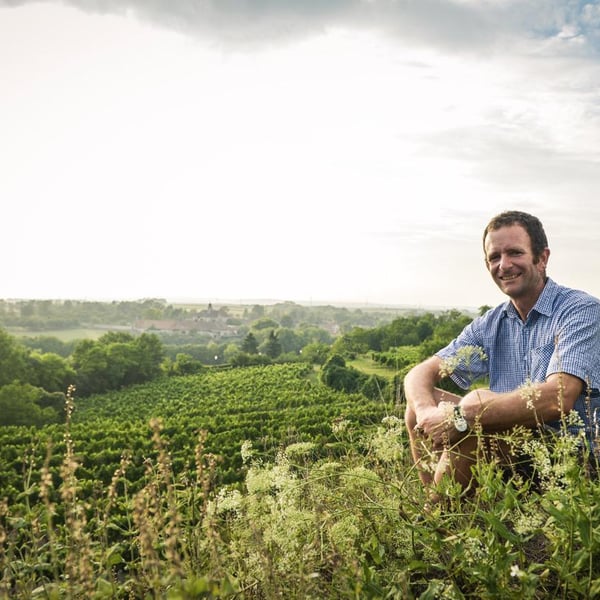 Weingut Fritz Salomon - Fritz Salomon