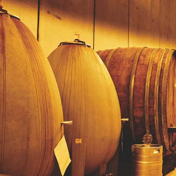 Weingut Hajszan Neumann - Fritz Wieninger