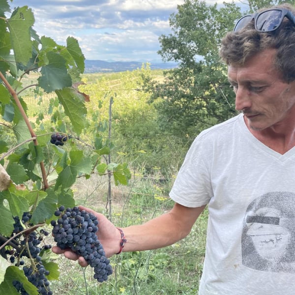 Azienda Agricola Ramacciani - Gabriele Ramacciani