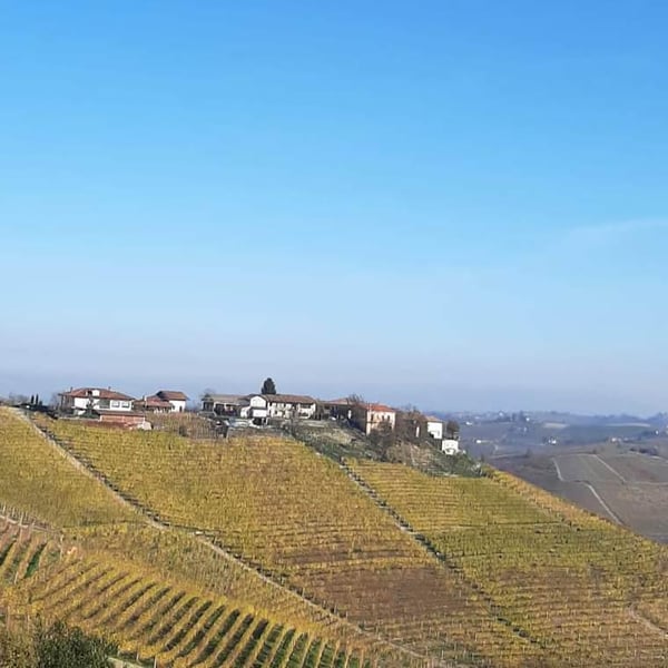 Cantina Morra Gabriele, già Pautasso dal 1880 - Gabriele Testa, Stefano Campaniello