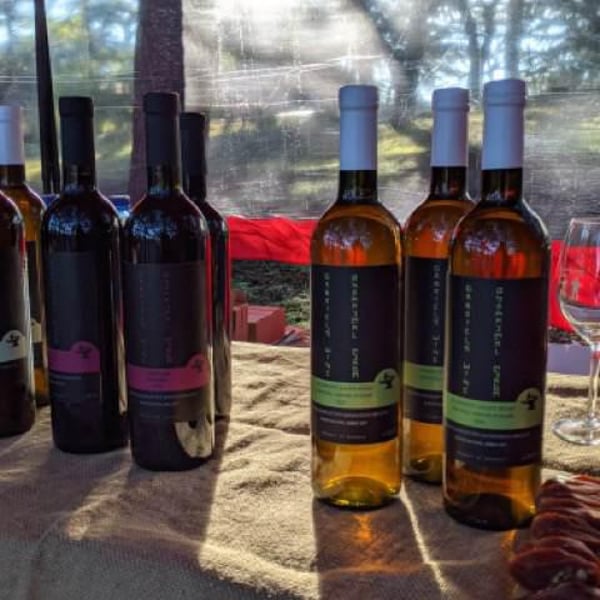 Gabriel's Wine - Gabrieli Khomasuridze