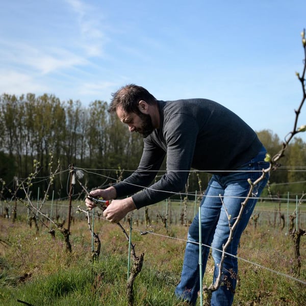 Eric Chevalier Vigneron - Gaelle et Eric Chevalier