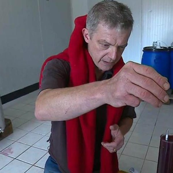 Vin Nu - Myrtilles Du Trimoulet - Geoffrey Estienne