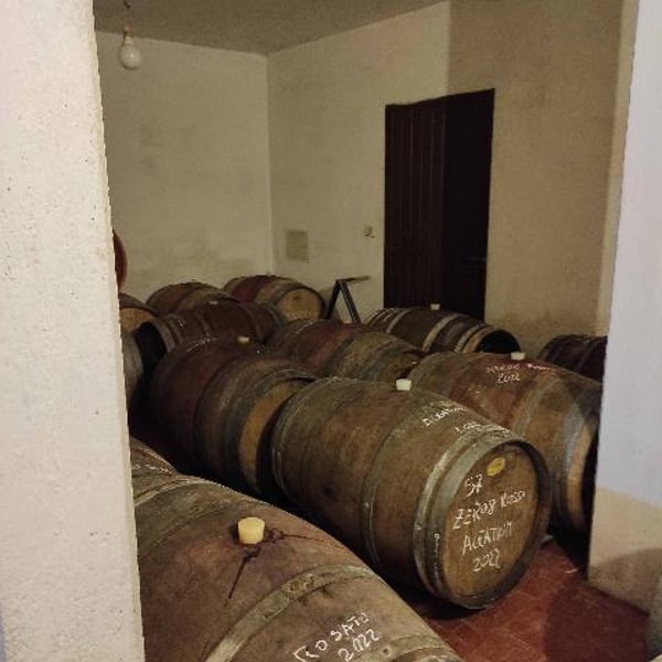 Azienda Agricola Georgea Marini - Georgea Marini