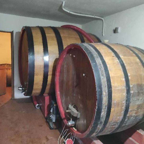 Azienda Agricola Georgea Marini - Georgea Marini