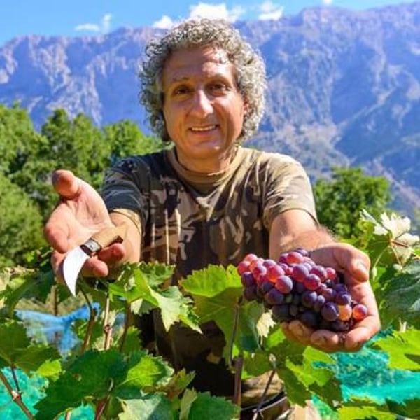 Dorian Wines - Georgios Balatsouras