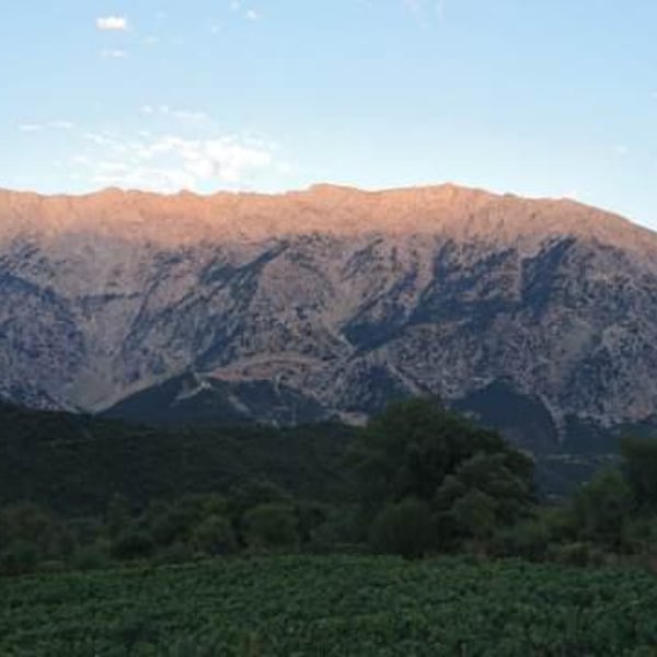 Dorian Wines - Georgios Balatsouras