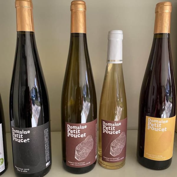 Domaine Petit Poucet - Gerard Blaess