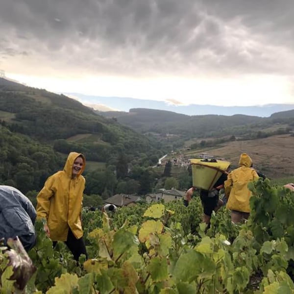 Domaine des Chopins - Germain Santailler