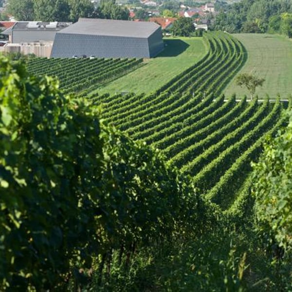 Weingut Heinrich - Gernot & Heike Heinrich