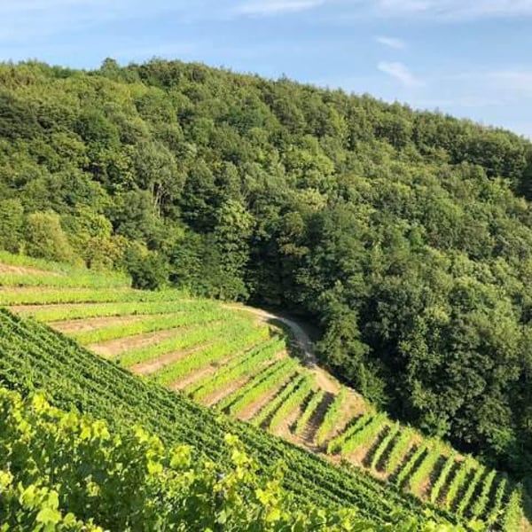 Maison Moritz Prado - Ghislain Moritz & Angela Prado