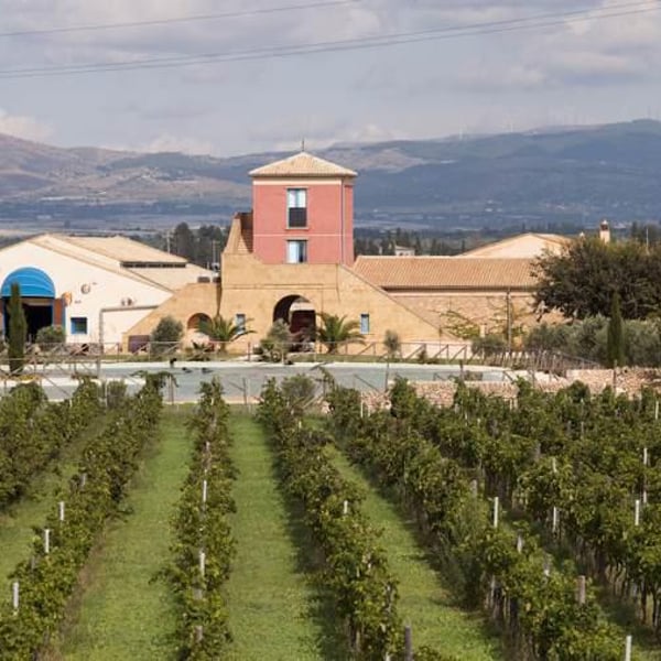 Giambattista Cilia, Cirino Strano & Giusto Occhipinti