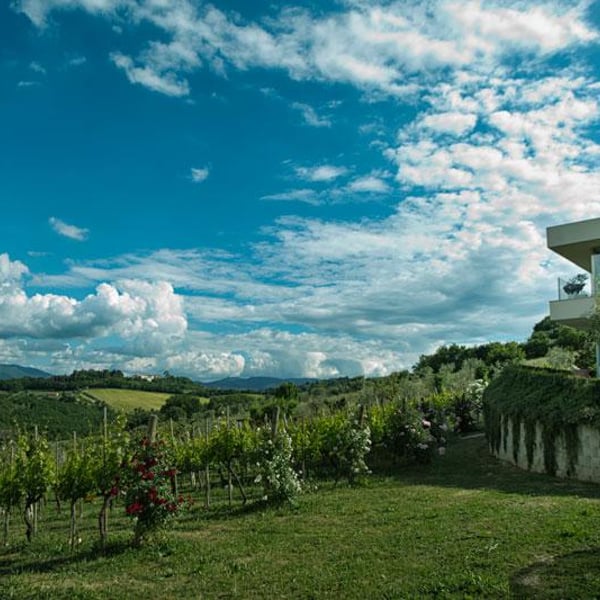 Cantina Ninni - Gianluca Piernera