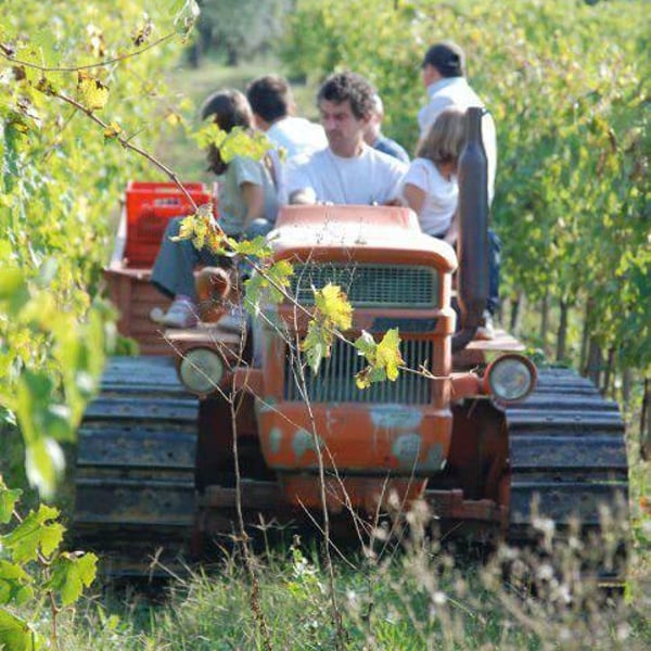 Gianni Massone